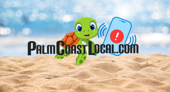 Home Seal on PalmCoastLocal.com